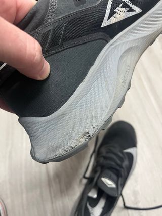 Nike Pegasus Trail 47.5