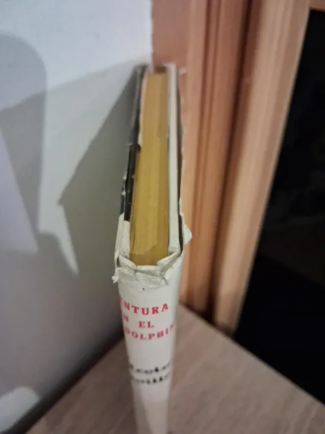 Aventura en el Gay Dolphin