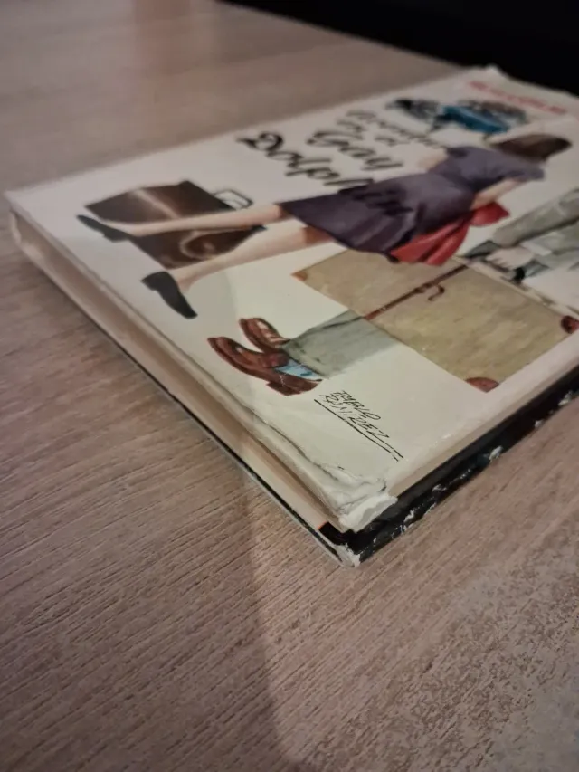 Aventura en el Gay Dolphin