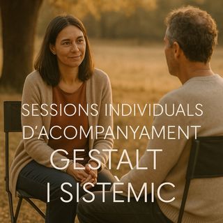 sessió individual de terapia Gestalt i sistèmica.