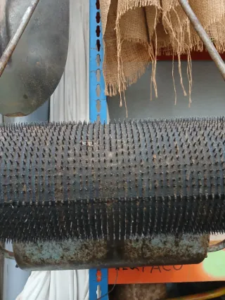 Recolector de olivas