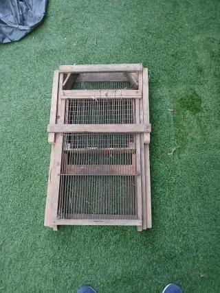 Recolector de olivas