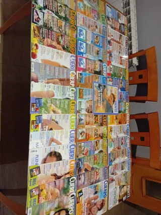 Lote de 46 revistas Cuerpomente.