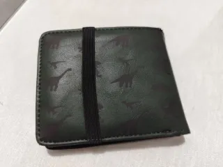 Cartera hombre verde con dinosaurios