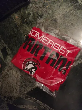 Lote 30 prendas ropa hombre multicolor Varias tall