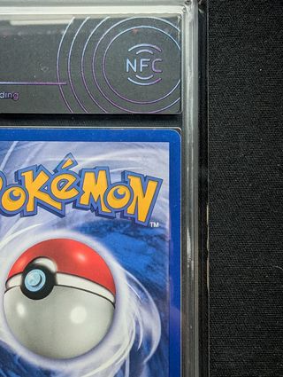 Pokemon Shining Gyarados Neo Revelation Aigrad 6.5