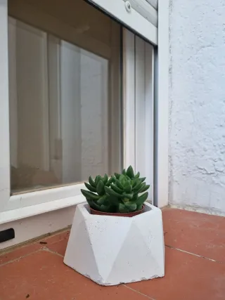 Vasi in cemento, design minimalista e pianta