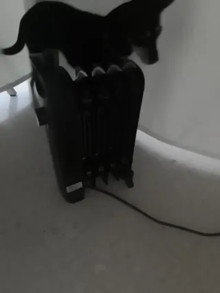 Calentador Radiador Aceite Negro