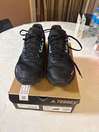 Zapatillas Adidas Terrex Agravic Flow 2 GTX 42