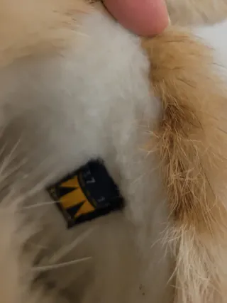 Doposci Tecnica vintage pelliccia capra