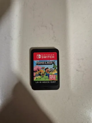 Minecraft Nintendo Switch