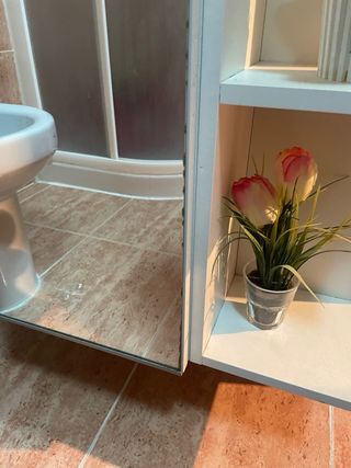 Armario baño con espejo