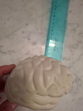 Cervello antistress morbido in lattice  Cervello i