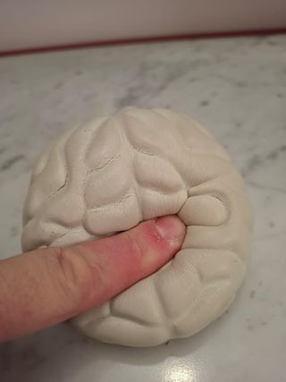 Cervello antistress morbido in lattice  Cervello i