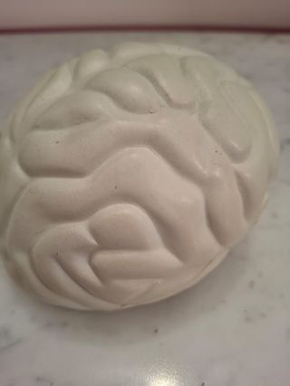 Cervello antistress morbido in lattice  Cervello i