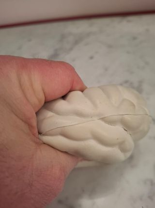 Cervello antistress morbido in lattice  Cervello i