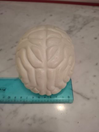 Cervello antistress morbido in lattice  Cervello i