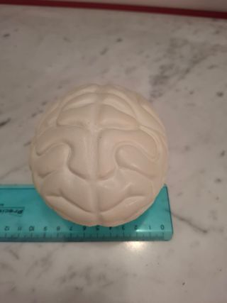 Cervello antistress morbido in lattice  Cervello i