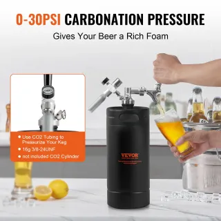 Mini Spillatore di Birra Portatile Capacità 4L