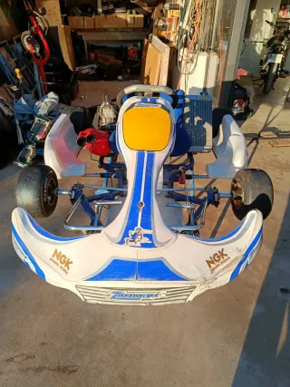Karts Zanardi Inter A 125cc