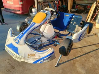 Karts Zanardi Inter A 125cc