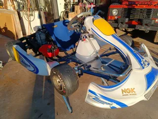 Karts Zanardi Inter A 125cc