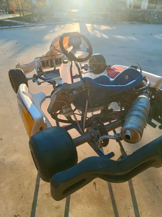 Karts Zanardi Inter A 125cc