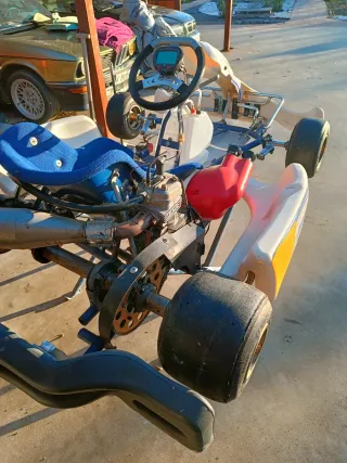 Karts Zanardi Inter A 125cc
