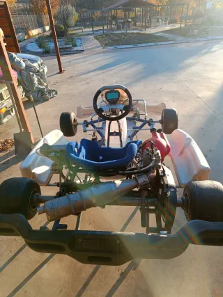 Karts Zanardi Inter A 125cc