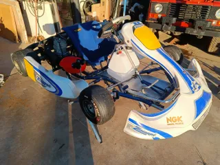 Karts Zanardi Inter A 125cc
