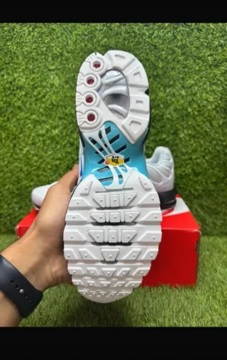 Zapatillas Nike Air Max Plus Gris y Turquesa