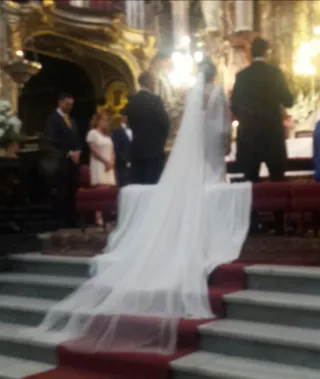 Novia Franc Saravia.Detalle pedrería espalda/puños