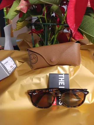 Ray Ban Hexagonal Marrón y Polarizada