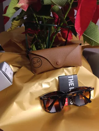 Ray Ban Hexagonal Marrón y Polarizada