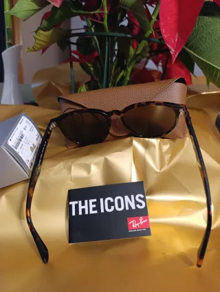 Ray Ban Hexagonal Marrón y Polarizada