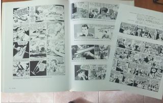 THE COMICS BEFORE 1945 - BRIAN WALKER