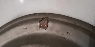 Plato Águila bicéfala