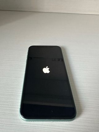 iPhone 11 Verde + Custodie + Cavo