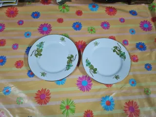 Set Platos Porcelana Royal Vigo Hojas