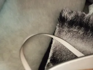 Bolso Guess Blanco y Dorado