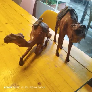 Camellos de cuero decorativos