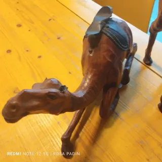 Camellos de cuero decorativos
