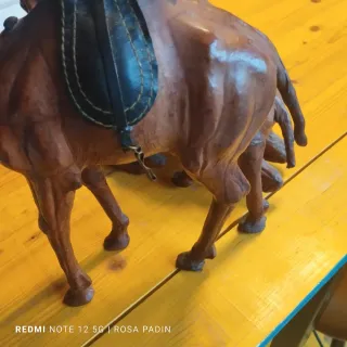 Camellos de cuero decorativos