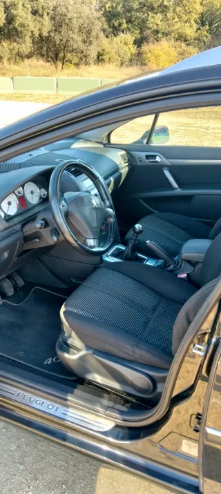 Peugeot 407 2005