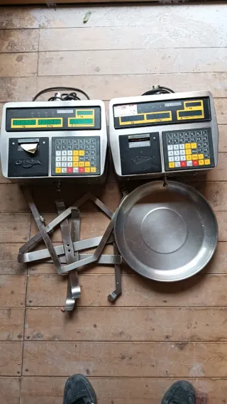 2 Balanzas para negocio