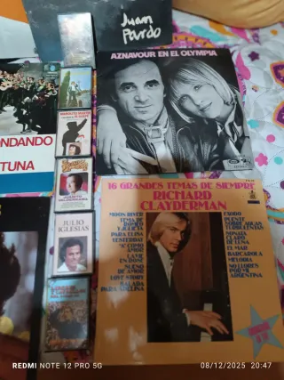 Lote Vinilos y Cassettes Vintage