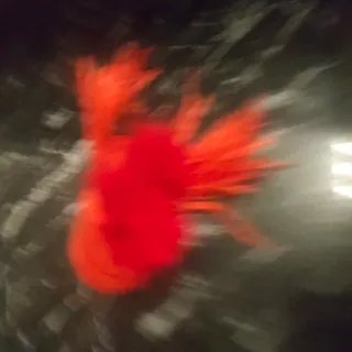 Traje de fiesta/madrina