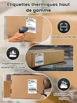 Phomemo Etiquetas De EnvíO 4 X 6 Dhl, Etiquetas TéRmicas