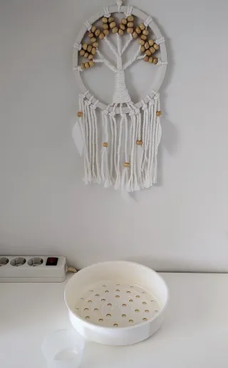 Arrocera Clatronic RK 2925 Express Cook