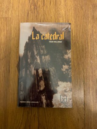 La catedral (Gran Angular) (Spanish Edition)